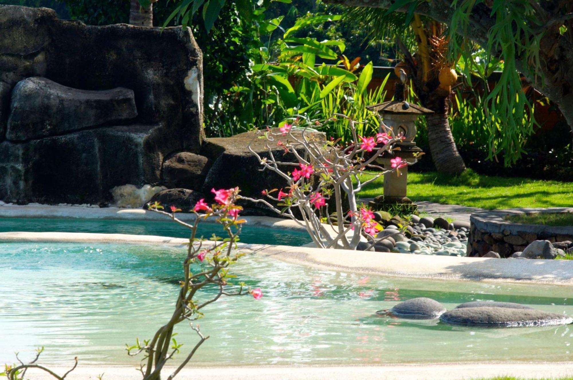 Villa Bali Pondok Jepang Lovina Exteriör bild